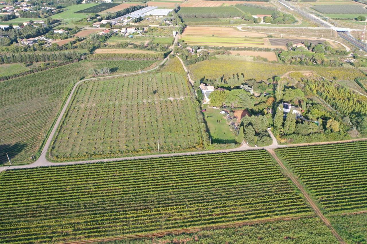 Domaine De La Trinite Montpellier - Aeroport - Plages - Arena - Zenith Saint-Aunes Eksteriør billede